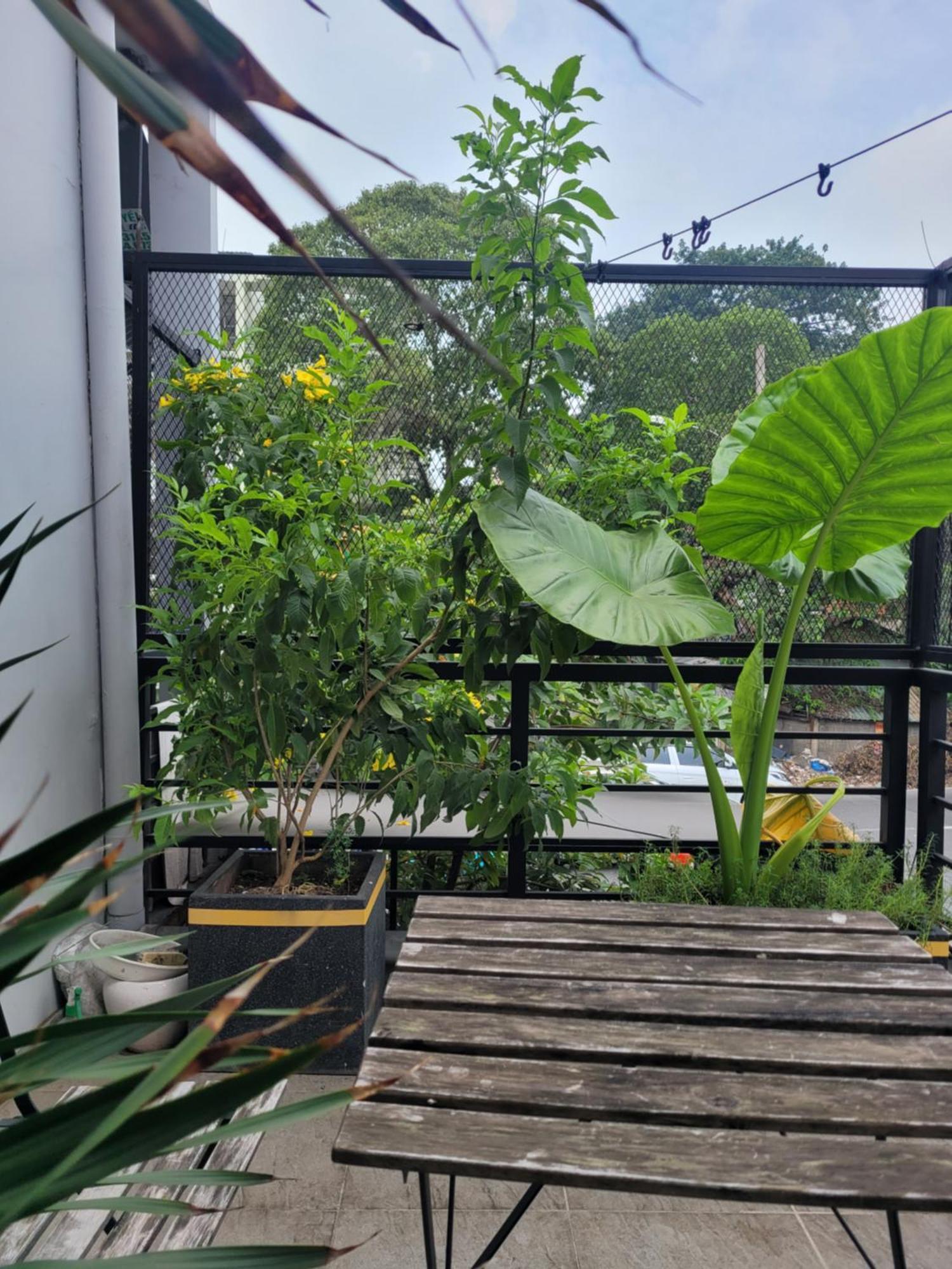 Agk House - Homestay - 406 Xo Viet Nghe Tinh, P25, Binh Thanh, Gan Nga 4 Hang Xanh Ho Či Minovo Město Exteriér fotografie